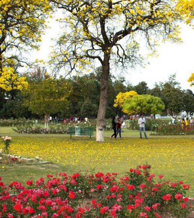 Chandigarh Park- Welcome Health